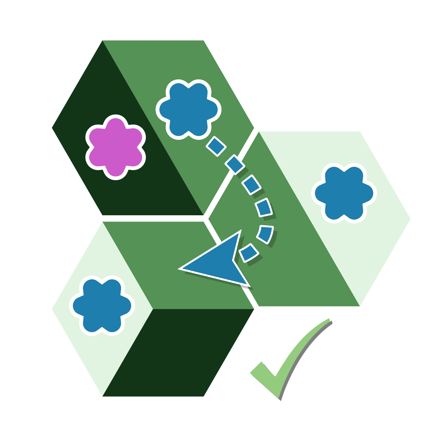 Movement within connecting biome