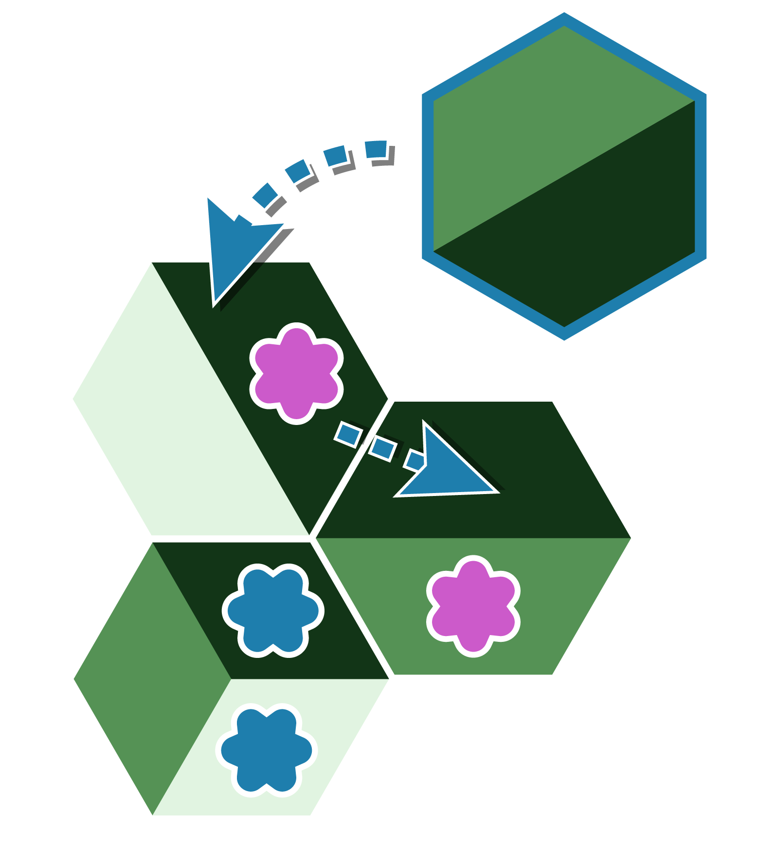 Blue reconnects a biome, migrating Pink from the tile