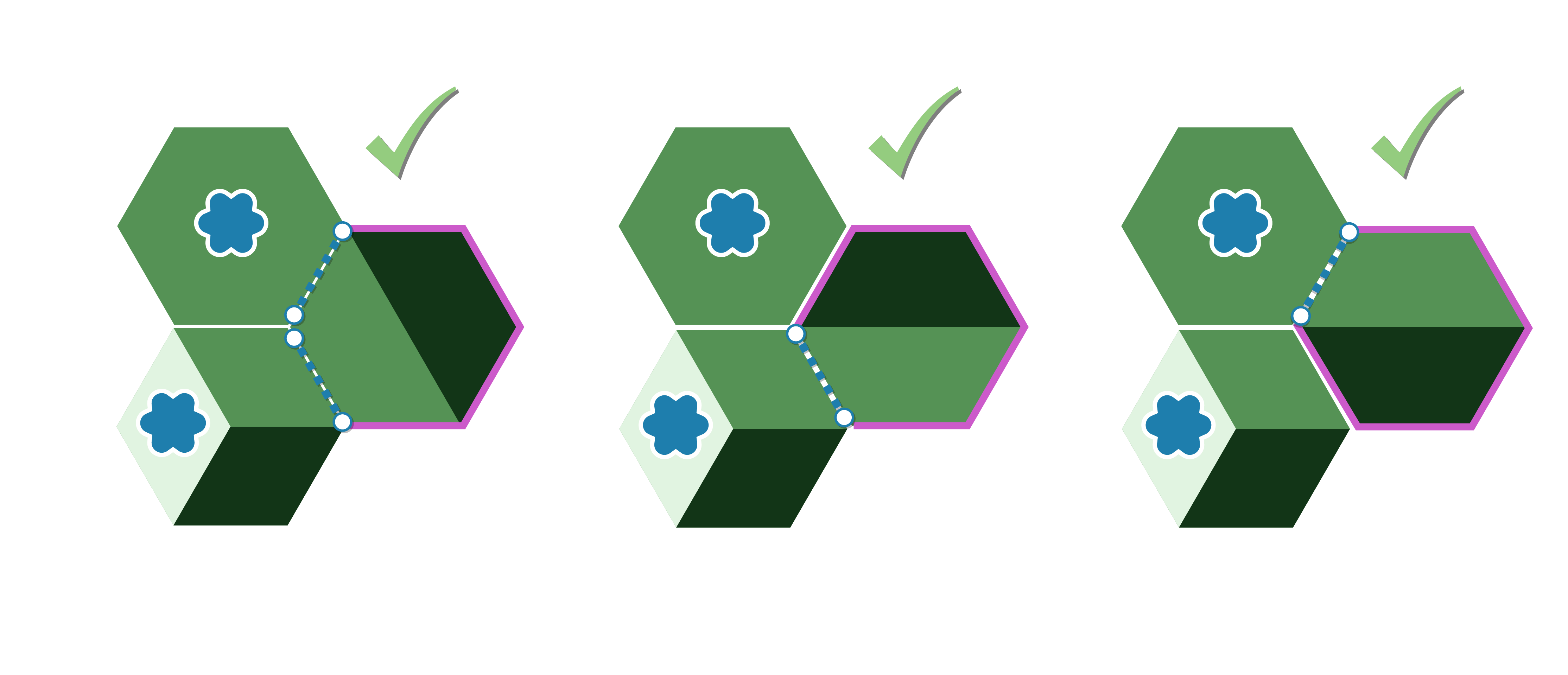 These rotations are permitted as they have at least one connecting biome edge.