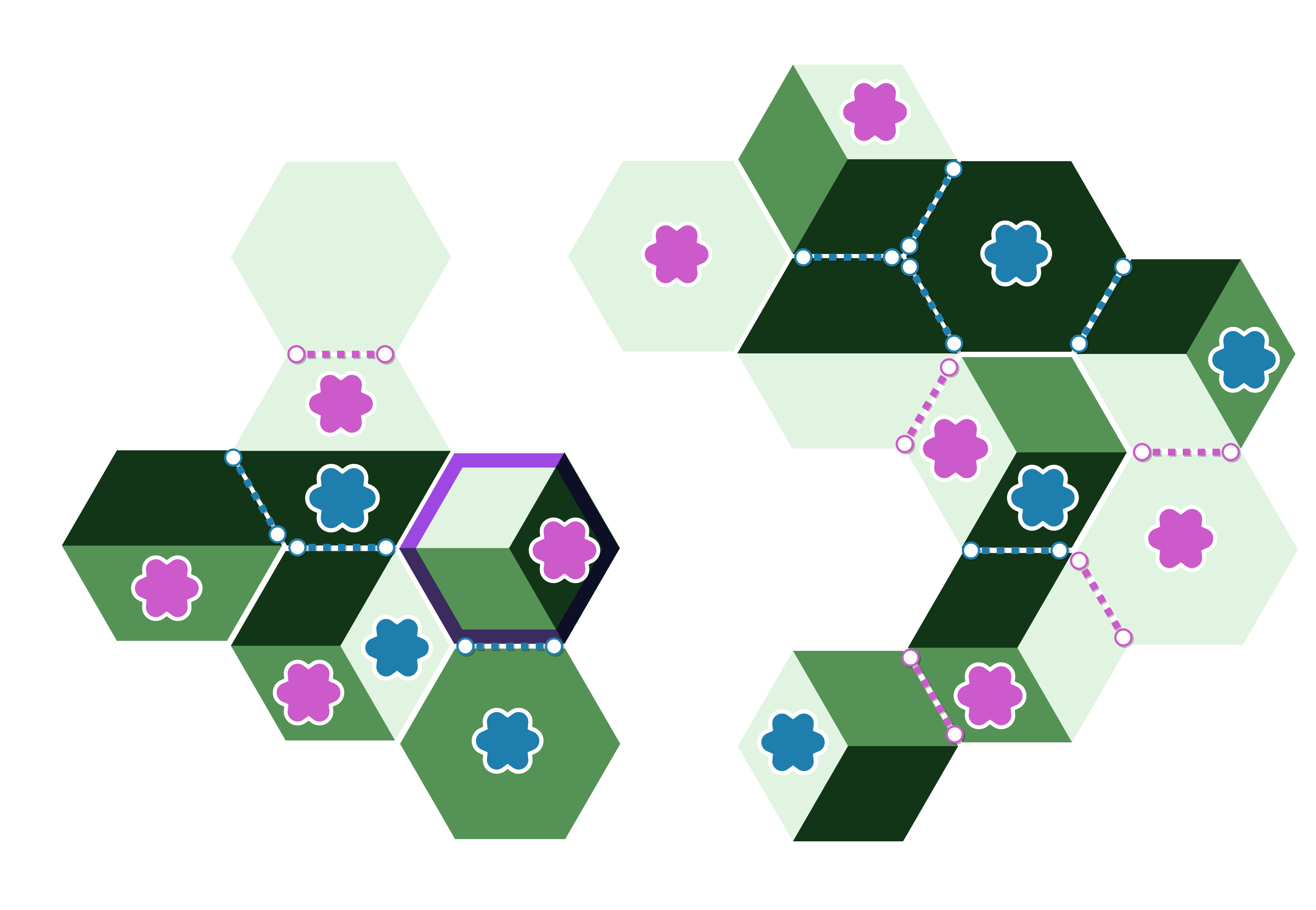 An example of a finalised board - 7 critters and 8 connections for Blue, 9 critters and 5 connections for Pink